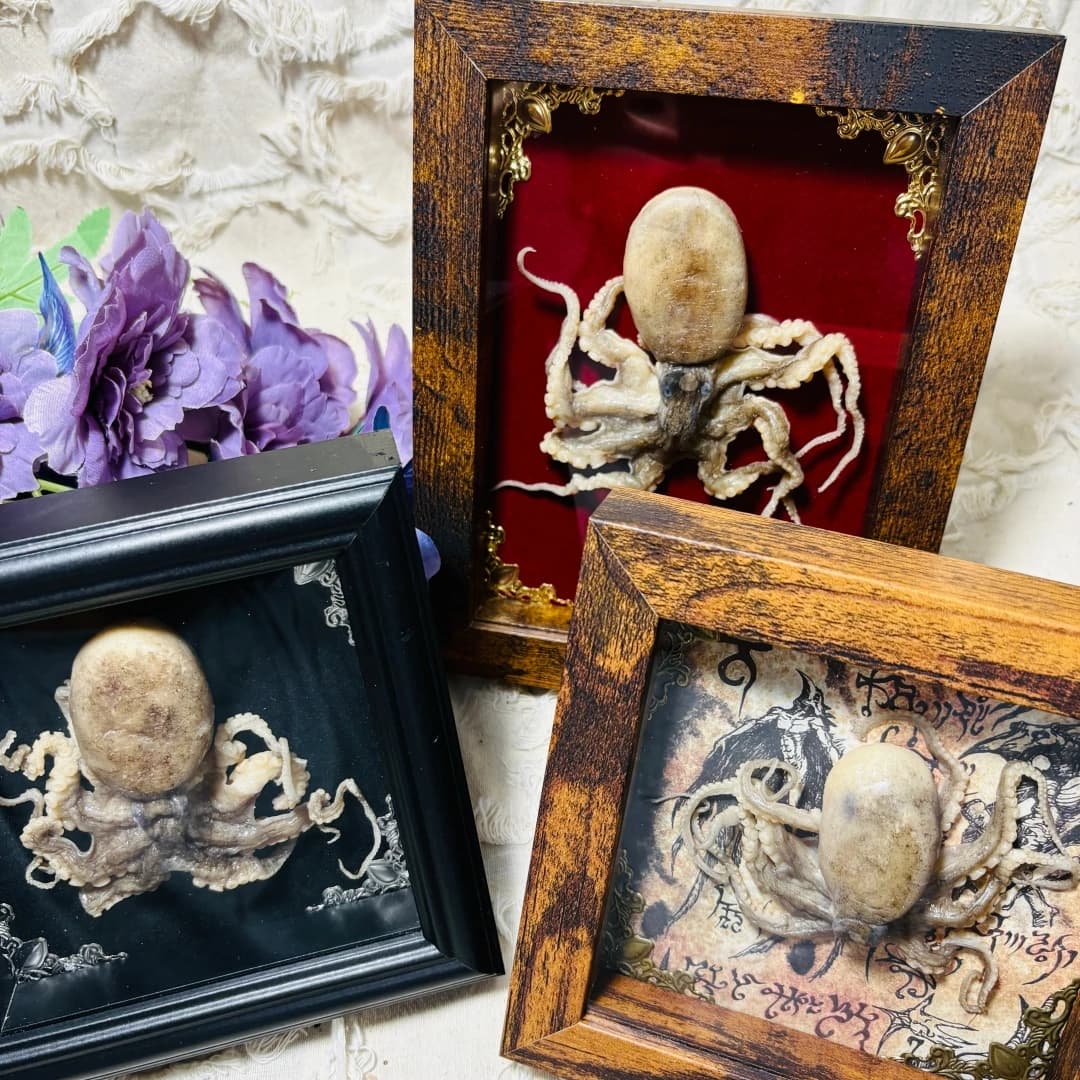2140 Gothic Cthulhu Octopus Themed Framed Ornament Collection Bulk Wholesale Vintage Wooden Frame Dark Fantasy Desktop Wall Art