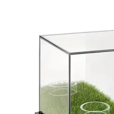 Baseball Showcase Housing with Dimensional Compatibility for Standard Baseballs and Flexible Placement Options