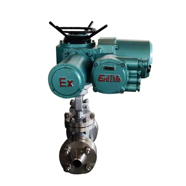 Z9B40H-100 Z9B40Y-100 CF8 Stainless Steel Electric Actuated Motorized Gate Valve