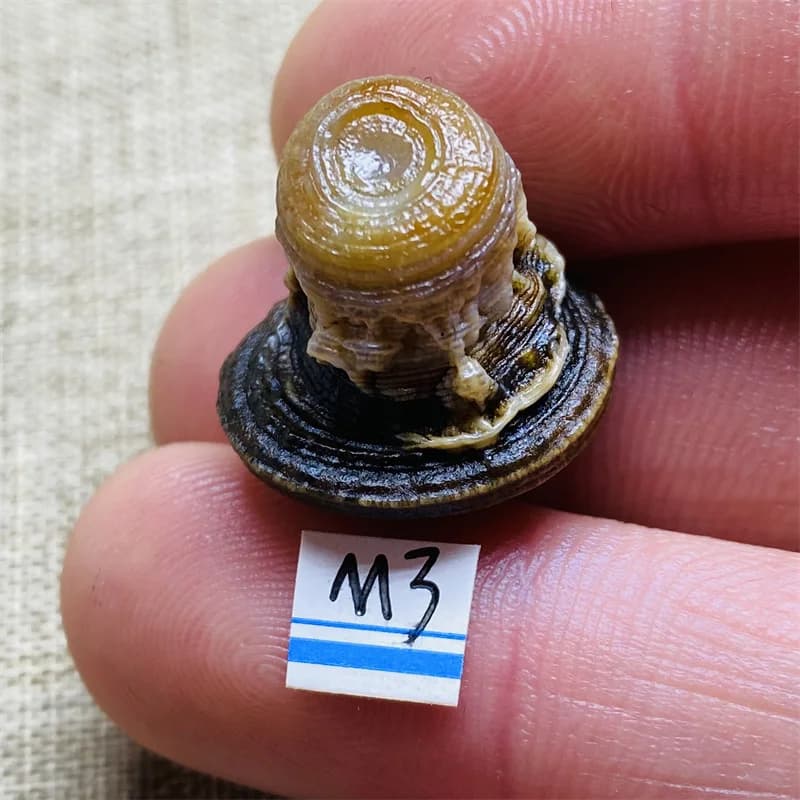 Natural Agate Mineral Specimen Energy Crystal Healing Pendant DIY Gem