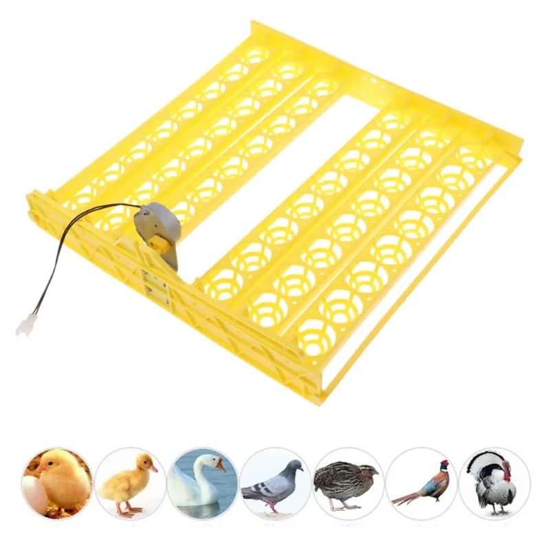 56 Digital Automatic Egg Turning Plate for Incubator Hatcher Brooder for Bird Supplies Chicken Duck Goose Eggs Incubator
