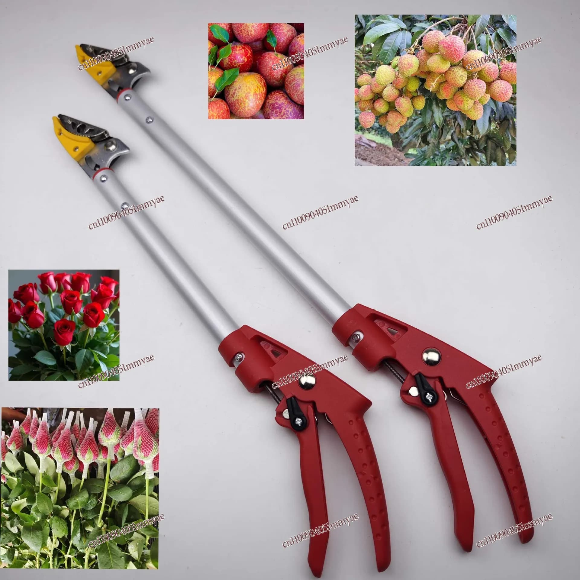 Rose lift and cut grass flowers special new gardening picking shears