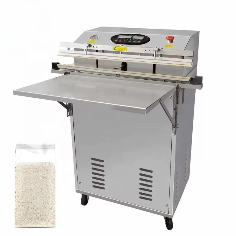 High-efficiency 500 double-pump semi-automatic external vacuum packaging machine Commercial fruit and vegetable