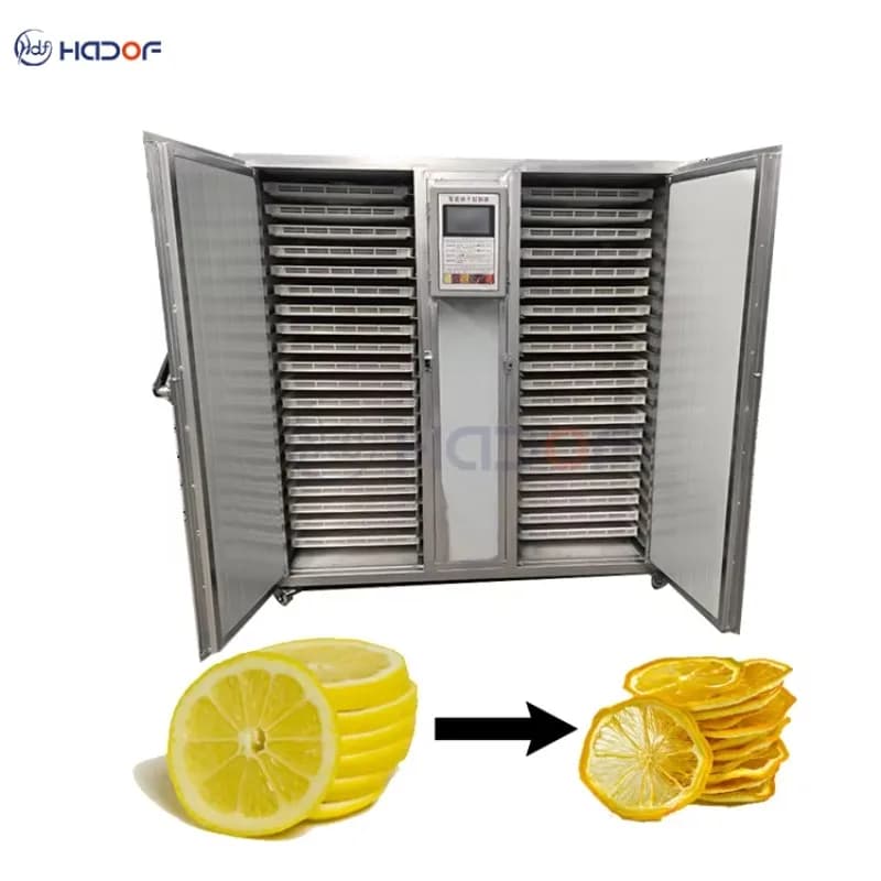Large Capacity  Food Drying Machine for Vegetables Fruits Meat Dehydrator Industrial Food Freeze Dryer Commercial Use