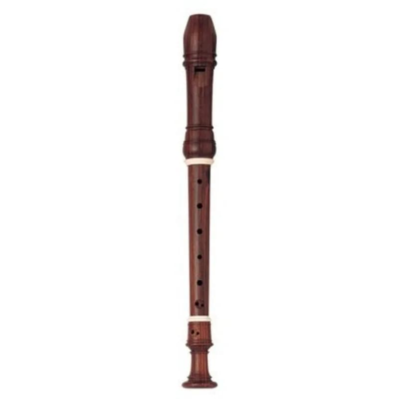 Wooden recorder for musical instruments