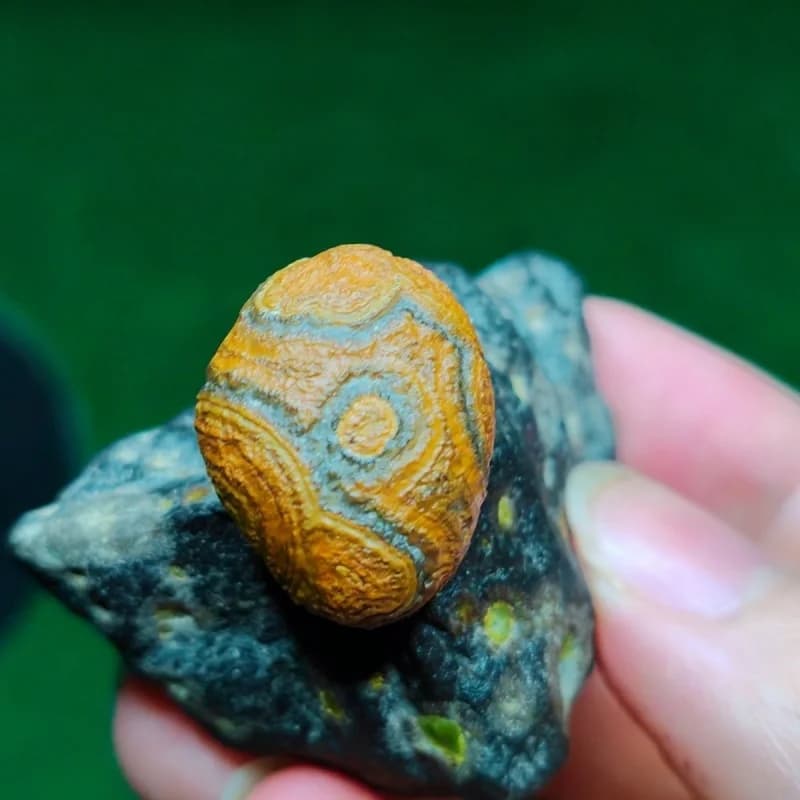 Natural Gobi Desert Rock Mineral Specimen