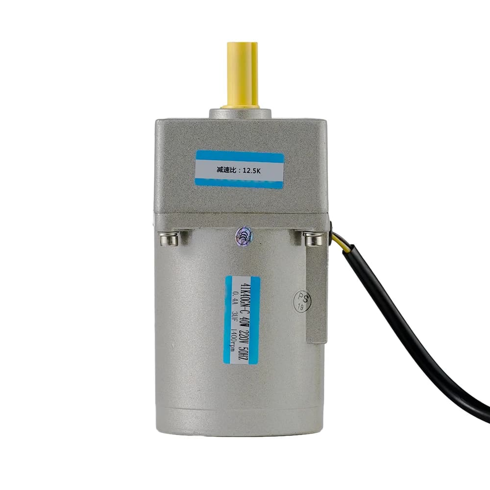 15W 93rpm 1.59Nm Single Phase 110V AC Induction Variable Gear Motor with Gearbox
