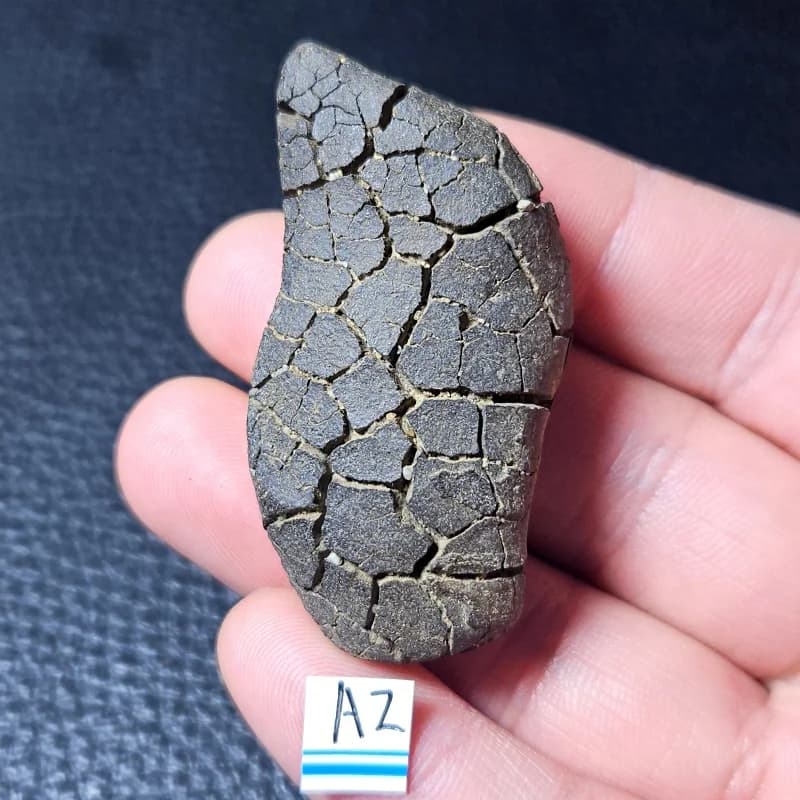 Unique Natural Rough Surface Moire Stone Geology Teaching Supplies Halloween Decoration Gifts