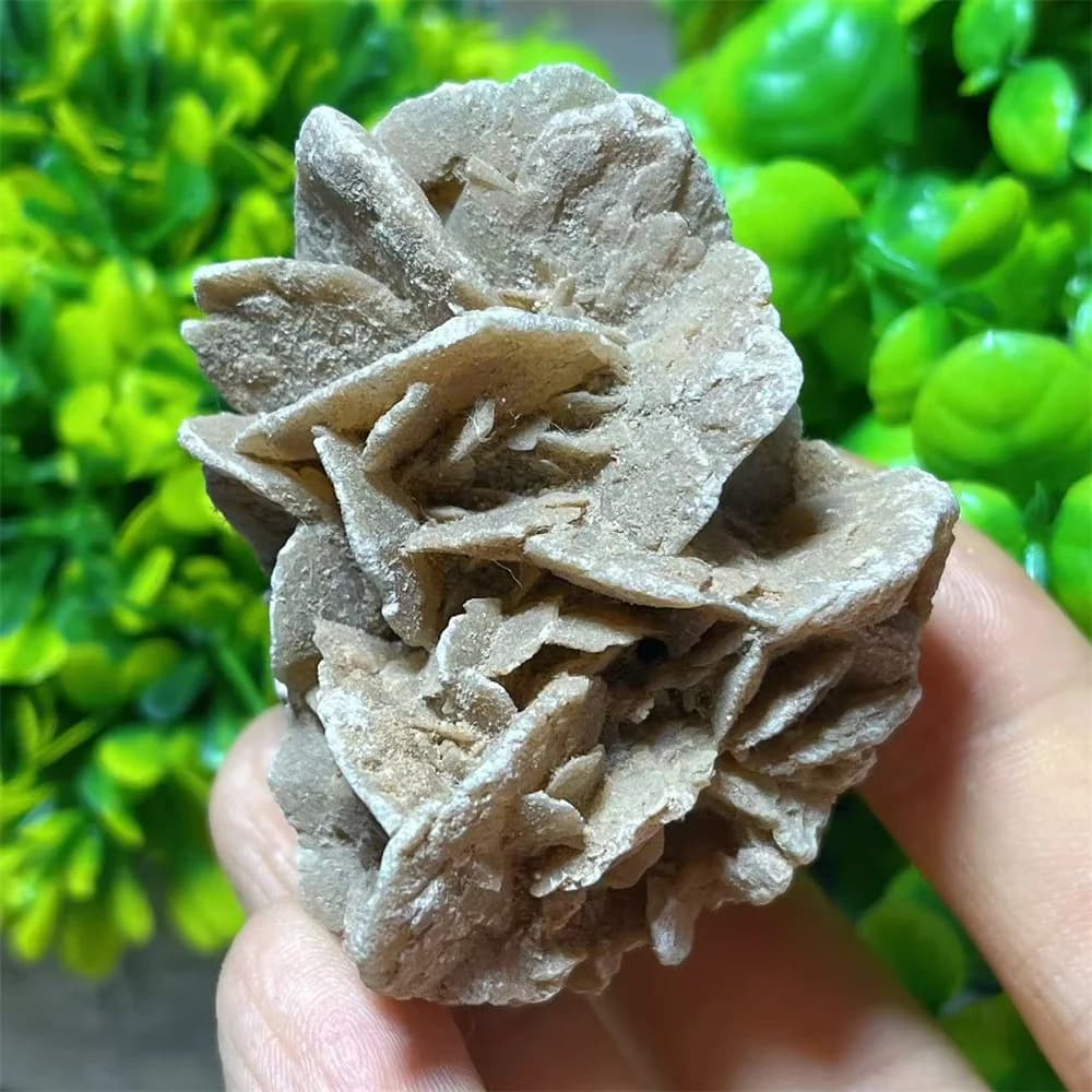 Desert Rose Specimen Energy Room Gift Home Energy Mineral Gemstone Meditation Specimen Healing Reiki Gem Home Decoration
