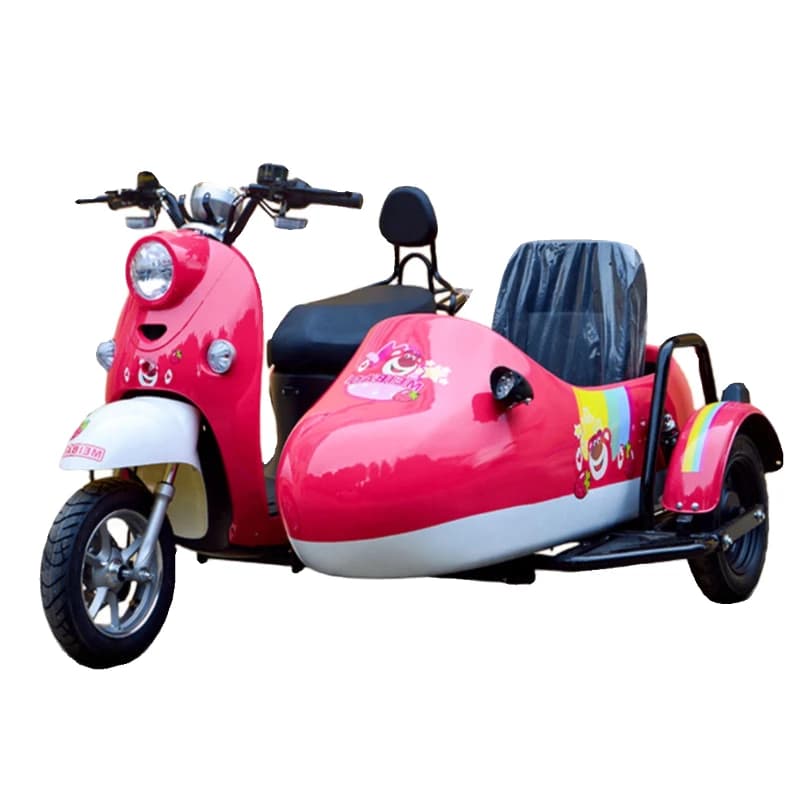 Electric tricycle side three-wheeled eight-car tourist attraction travel car 72V long-distance running Wang Dianmo