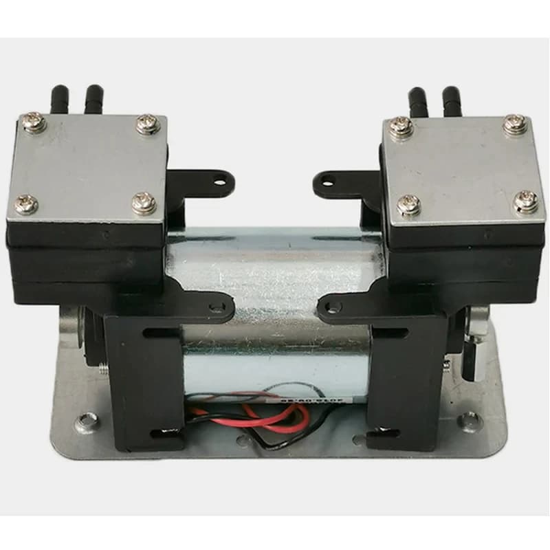 High Positive Negative Pressure Vacuum Pump Large Beauty Instrument Mute Double Head Diaphragm Pump Micro Air Pump 12V/220V
