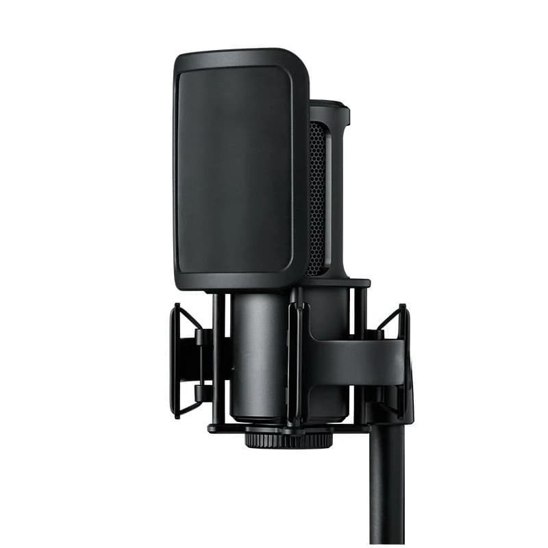 SM4 Large Diaphragm Condenser Microphone Chorus Main Live Karaoke Recording Microphone Set