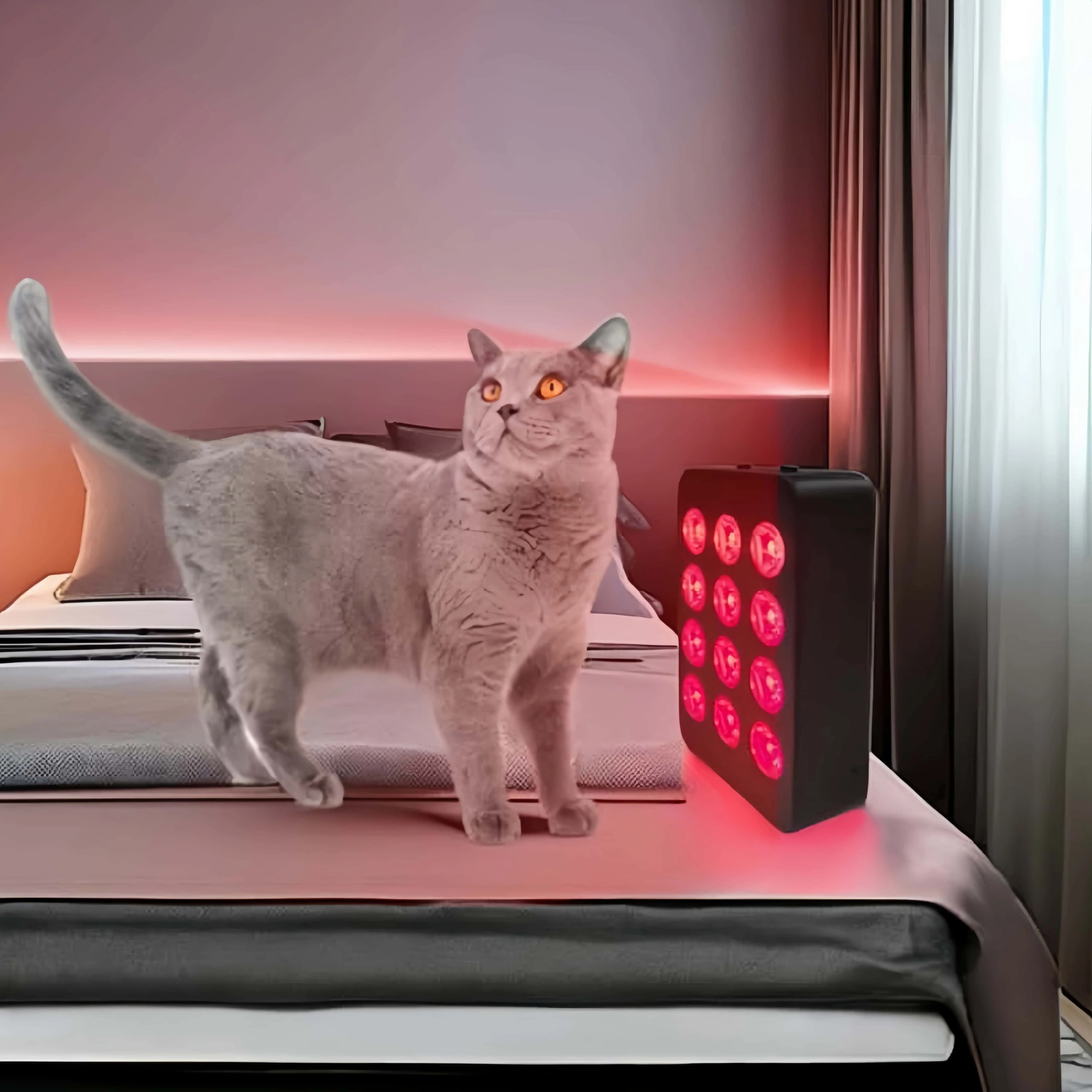 OEM ODM Handheld 660nm 850nm Red Infrared Light Lamp PDT Machine Infrared Device 60W LED Red Light Therapy Face Panel AL60