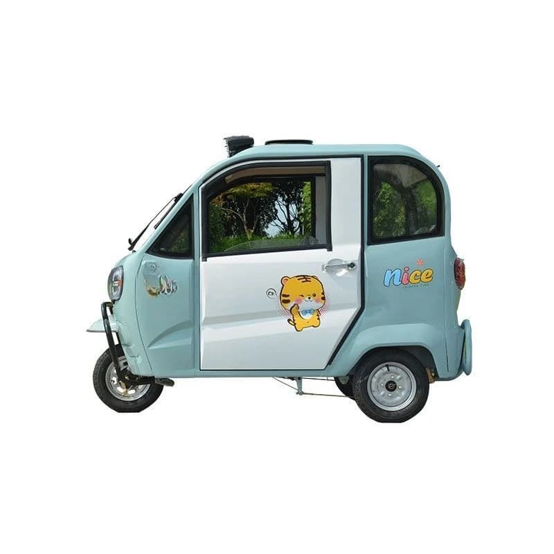 Electric fully enclosed tricycle Small lady pick-up and drop-off child Adult household scooter