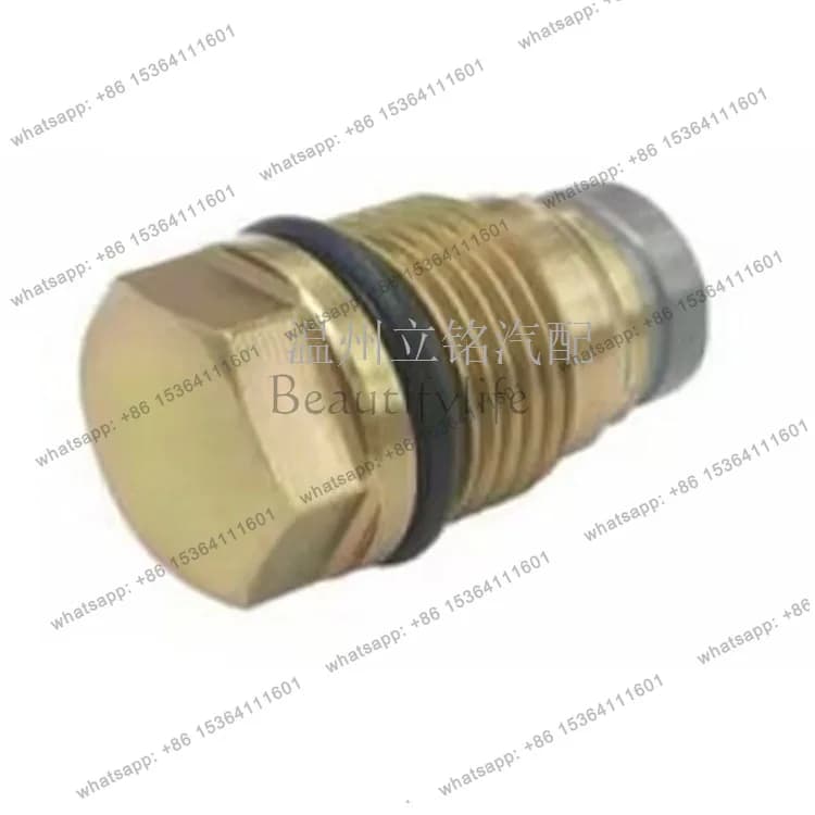 Factory direct sales automatic pressure limiting valve 1110010013 brand new common rail pressure relief valve 1110010028
