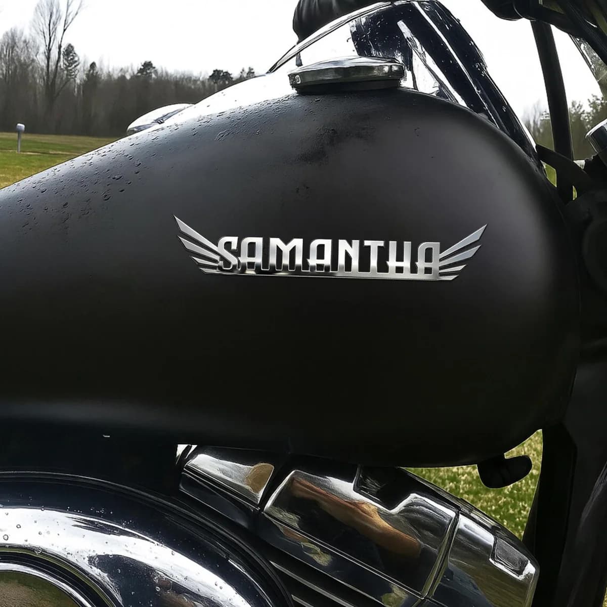 Trendy Wings 3D Metal Car Badge Body Trunk Emblem Decor Sticker Auto Personalized Name Logo Stainless Steel Car Decor Accessorie