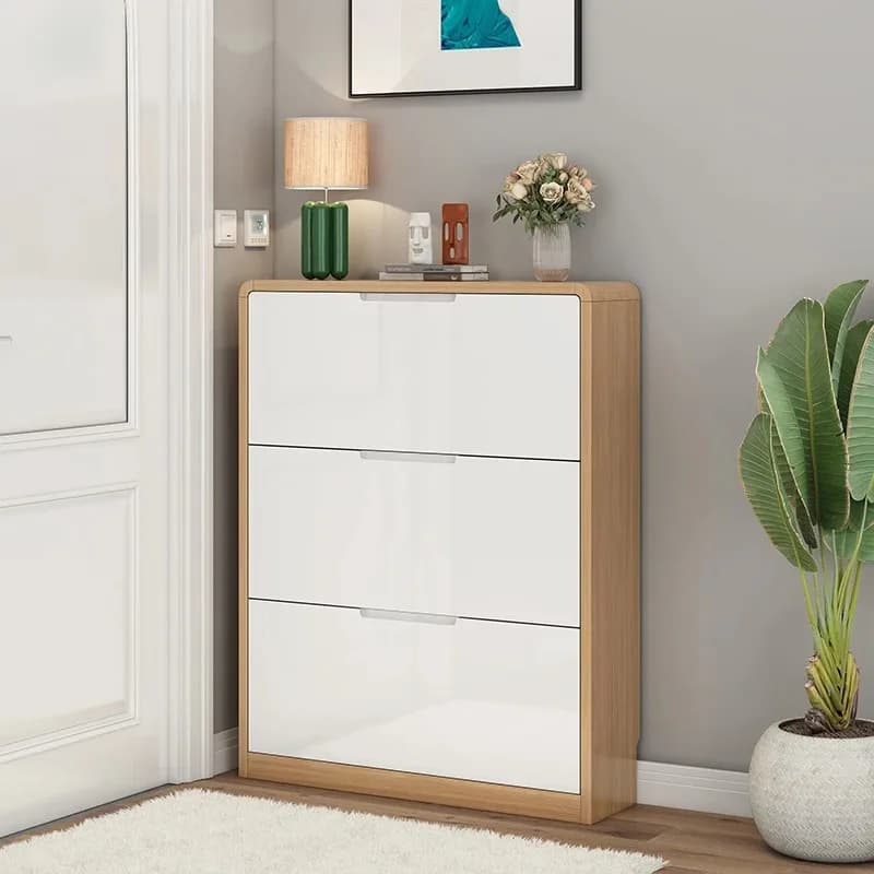 Interior Modern Shoe Cabinet Wooden Nordic Luxury Designer Narrow Creative Shoe Shelf Big Size Muebles Lounge Suite Furniture