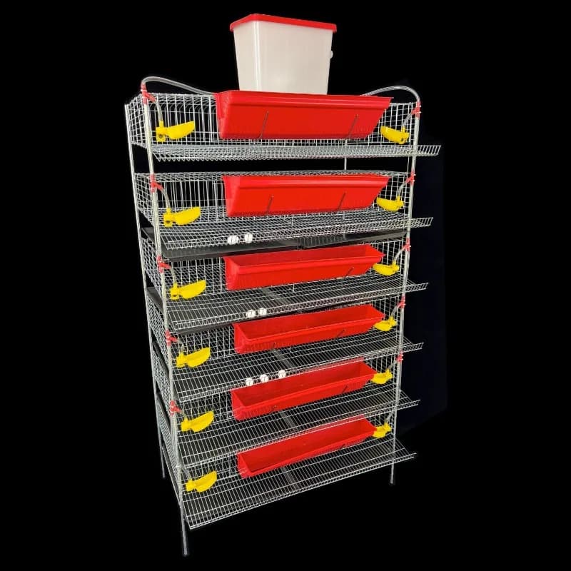 Vertical egg-laying quail cage 6-layer feeding drinking water thickened encrypted quail laying cage