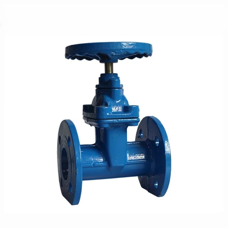Industrial Cast Iron Gate Valve Manual Cast Iron Gate Valve Open Rod Hidden Rod Flange Valve Round Port Drainage