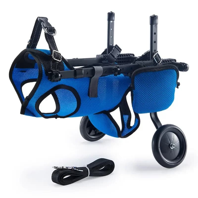 Disabled dog rehabilitation training scooter, mobility assistance pet wheelchair