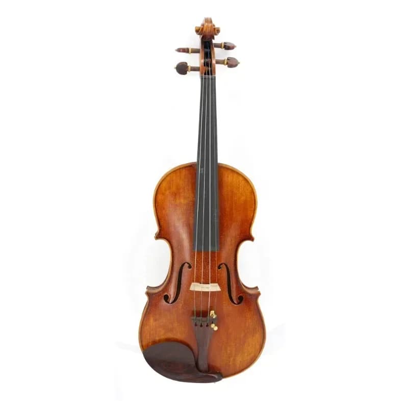 High-end violin imitation old retro, European material, oil-based lacquer violin