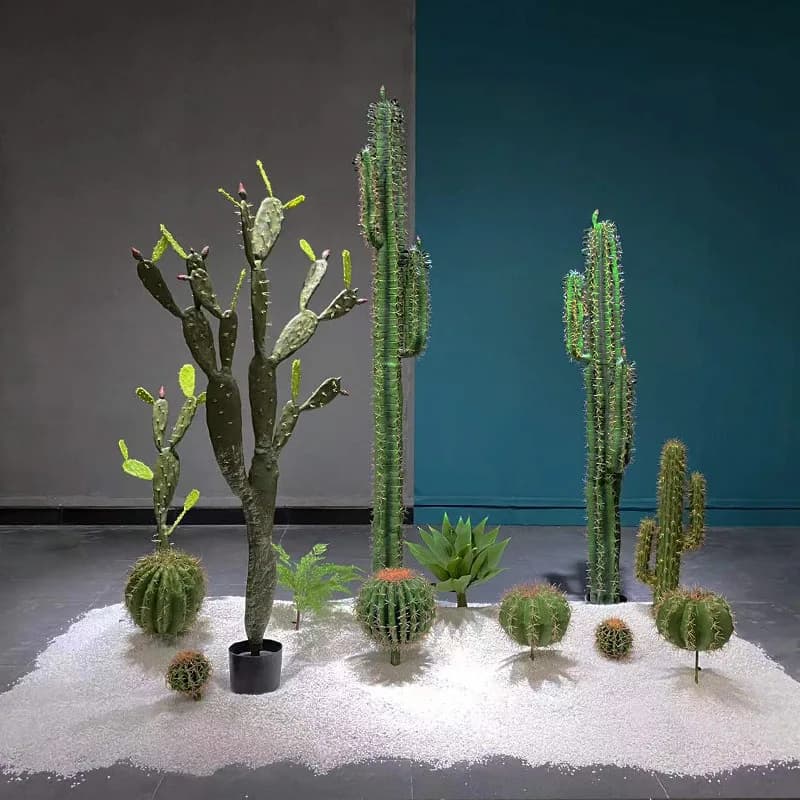Tropical Scene Decoration Bonsai False Cactus Measuring Scale Window Ornament Landscaping