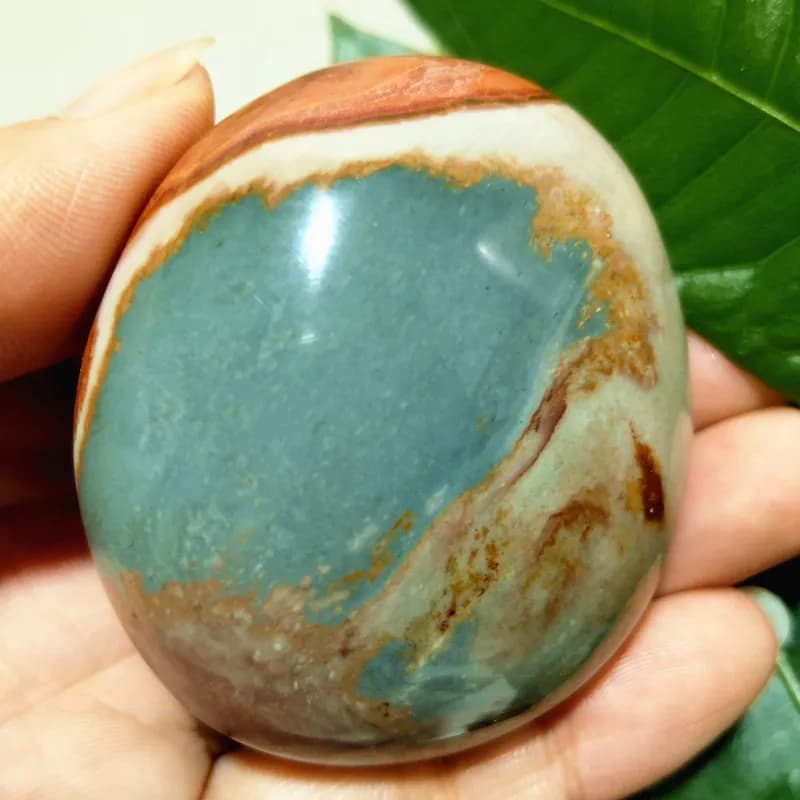 Natural Stones Ocean Palm Stone Feng Shui Crystal Meditation Witchcraft Spiritual Reiki Healing Room Decoration