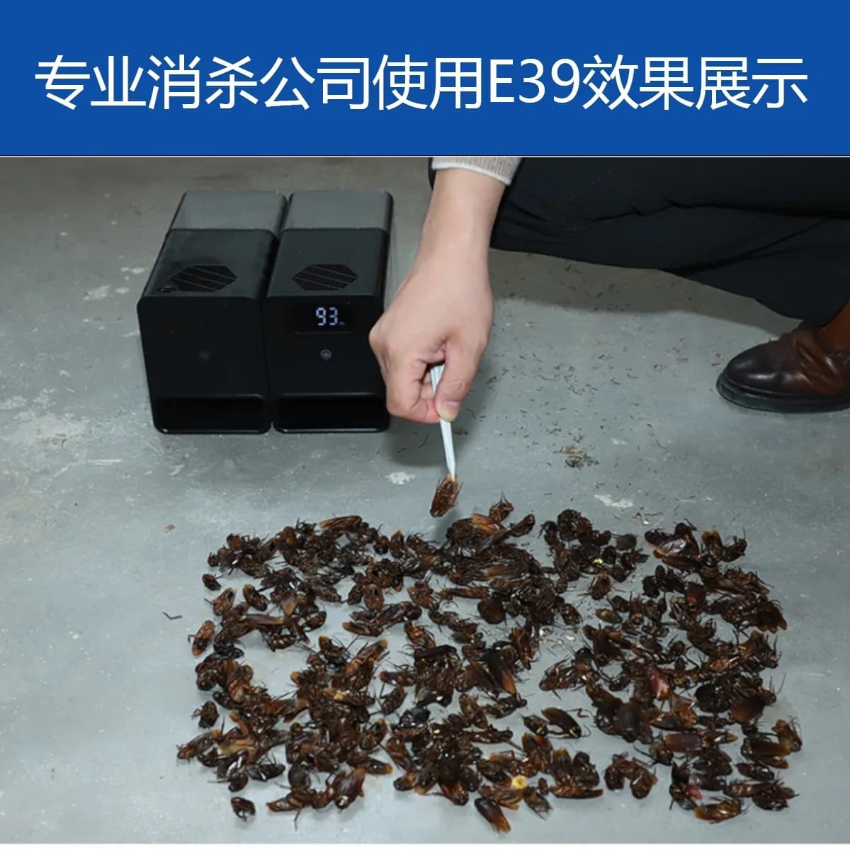 Intelligent cockroach exterminator Cockroach medicine Non-toxic household whole nest kitchen indoor tool