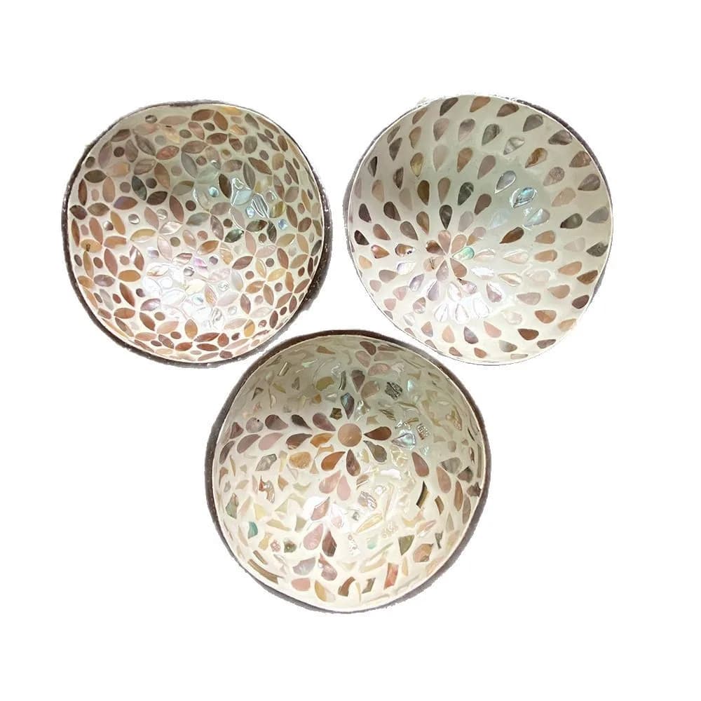 CX painted coconut shell bowl inlaid with characteristic ethnic style tableware bowl home decoration storage bowl