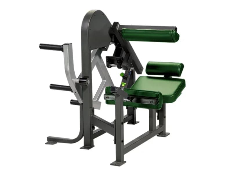 Hot Selling Professional Gym Fitness Equipment Back  Muscle Training Back Extension