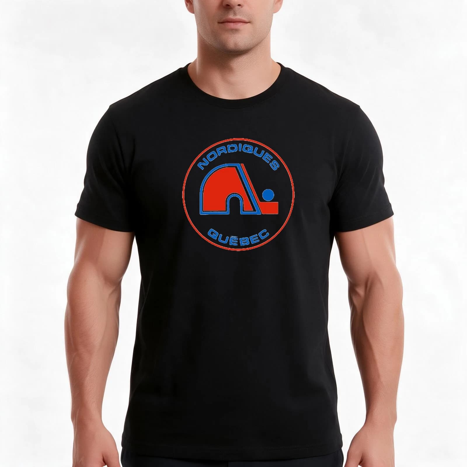 Vintage Quebec Hockey - Retro Nordiques T-Shirt, Summer Casual Cotton Tee, Oversized Streetwear Tops, Vintage Graphic Print