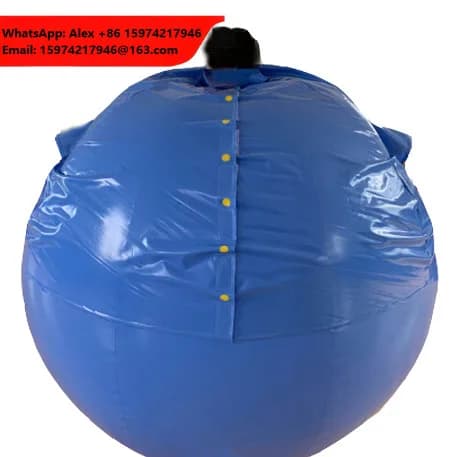 SZ ZHN Halloween Blueberry Suit Custom Body Set Fun Party Inflatable Clothes For Adults