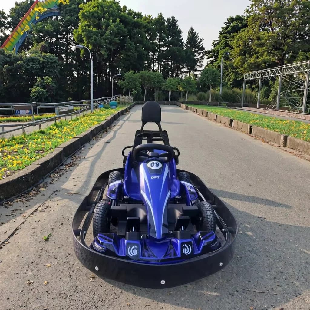 Ride-On Electric Go Karts Protection Lead Acid Battery Powr Disc Brake 18KM/H for Outdoor Commercial Amusements