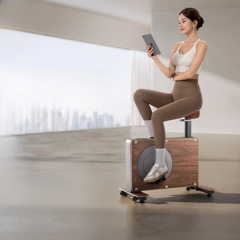 Household small exercise bike, small Trojan horse, indoor silent sports fitness equipment, spinning bike