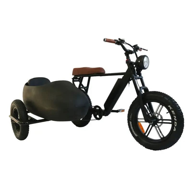 Electric Bike with Sidecar 750W Brushless Motor 20-Inch Wide Tire Steel Frame Two 15ah Lithium Battery 3 Wheels 48v Side Bucket