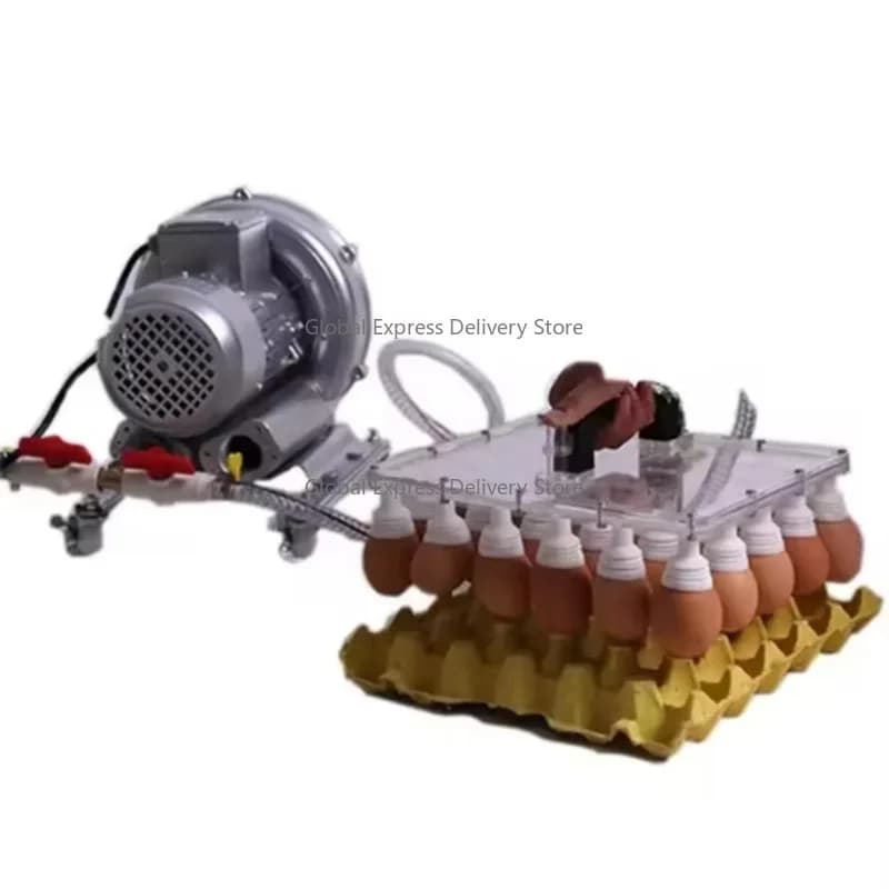30pcs Vacuum Egg Lifter with Handle & Protect Cover – Home/Bakery Egg Lifting Tool for Efficient Use