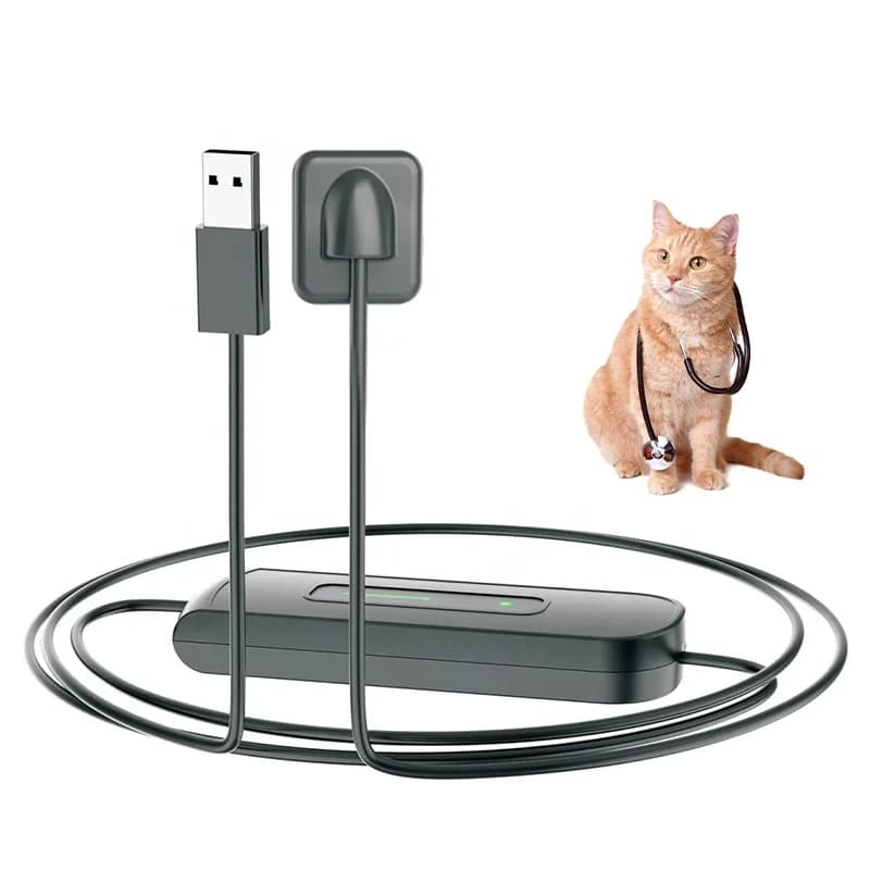 Ysenmed Animal Digital Intraoral Dental X-ray Sensor Pet Dental X-ray Sensor Veterinary Dental Xray Machine and Sensors Vet