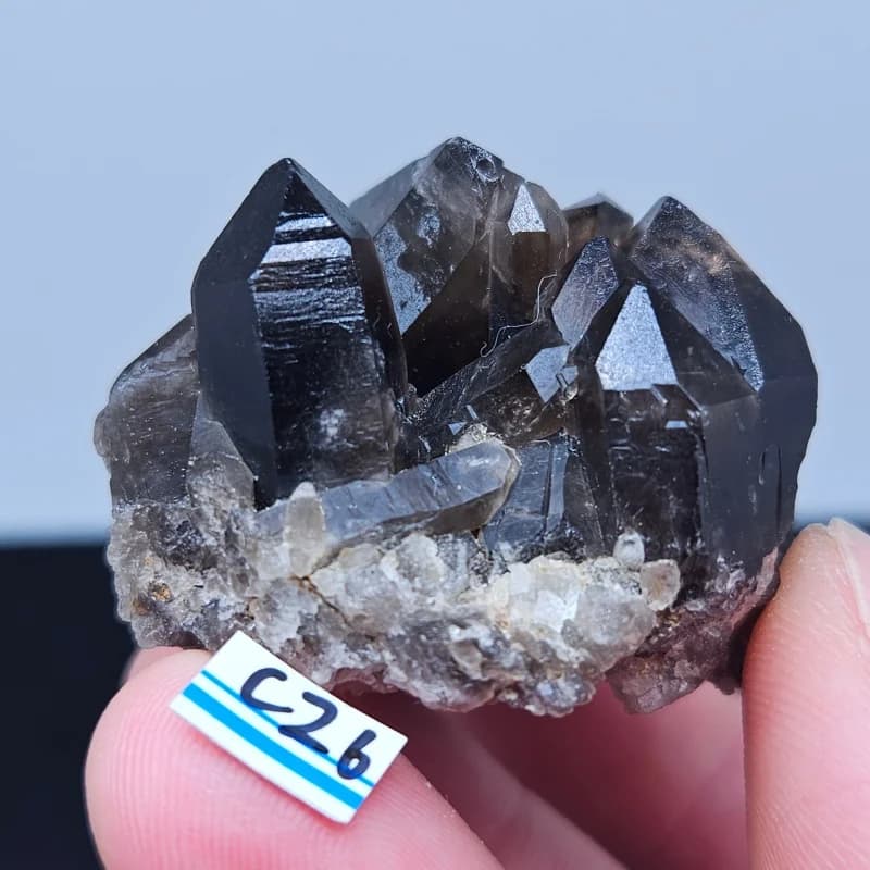 High Quality Smoky Black Crystal Cluster Natural Tawny Quartz Original Ore Specimen for Teaching And Home Decoration