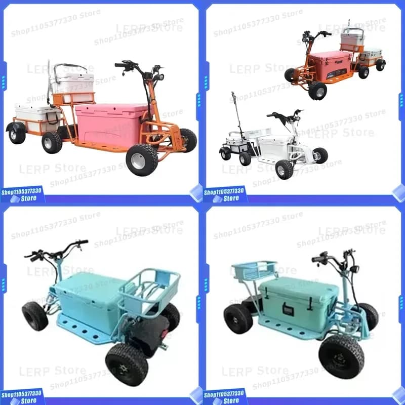 4 Wheel Electric Golf Cart Lithium Battery Powered Go Kart for Fishing All Terrain Vehicle with Food Storage Box Refrigerated