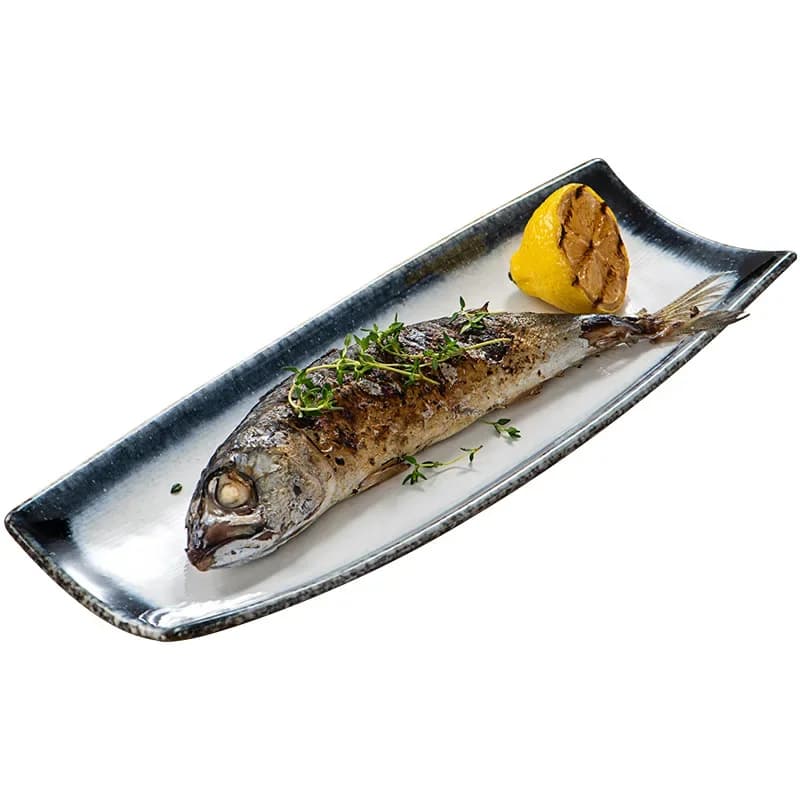 Vintage ceramic plate creative boat-shaped sushi long plate sashimi plate Japanese fish vegetable  snack