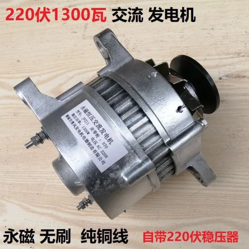 220V Volt 2000W Watt Small High Power Household Line Brushless AC Generator Belt Wheel Type