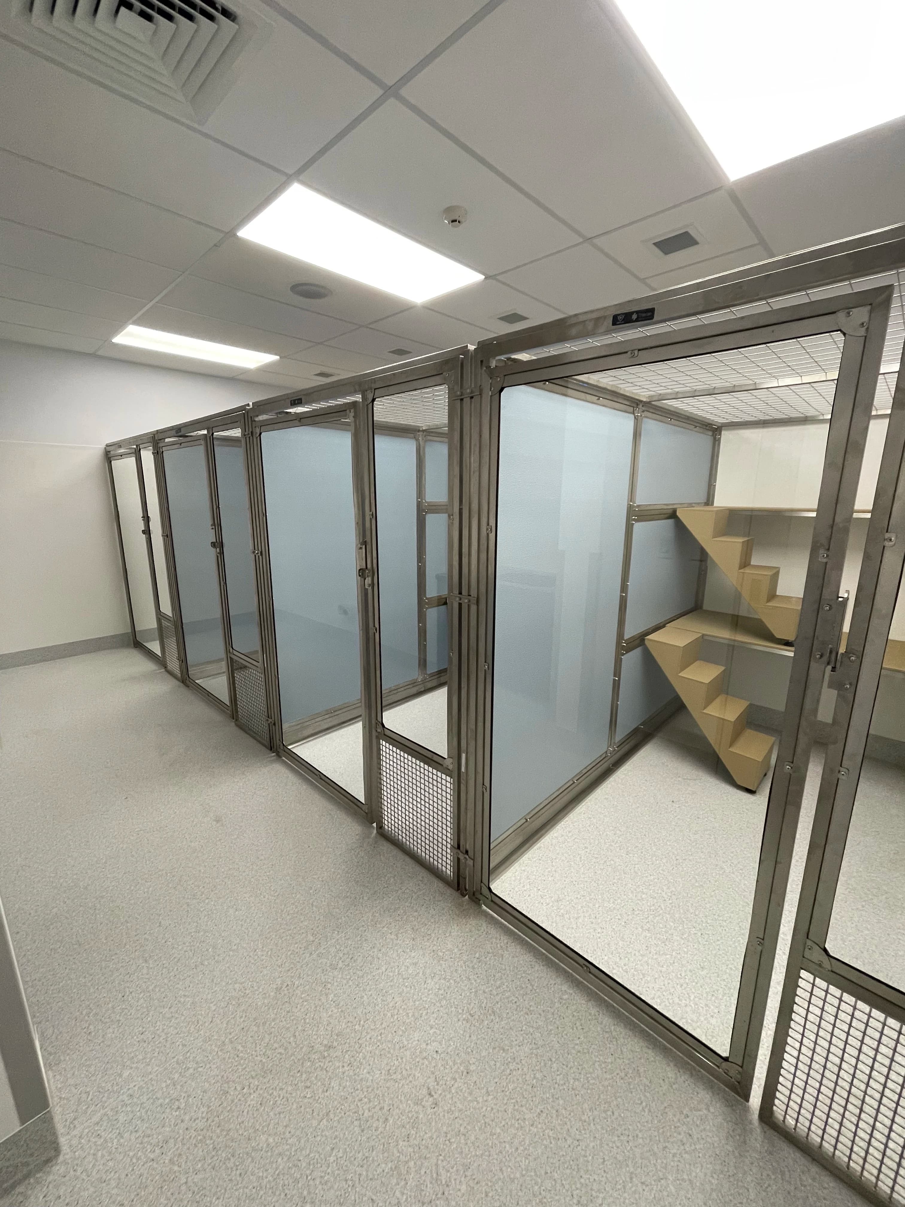Large Kennel Glass Door Tempered Glass Dog Kennel HDPE / Stainless Steel Panel Custom Pet Enclosure