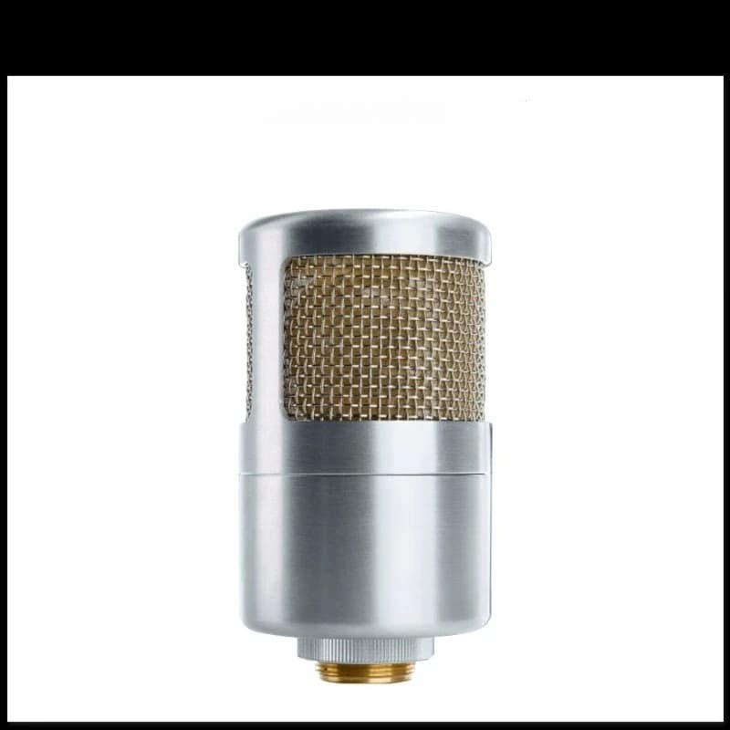 Large diaphragm capacitor microphones, field-effect tube microphones, recording studio microphones, live karaoke