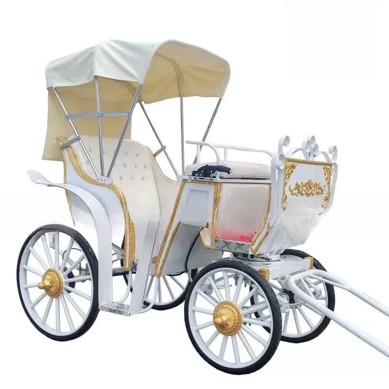 Horse-drawn cart craft car, scenic hotel with brakes