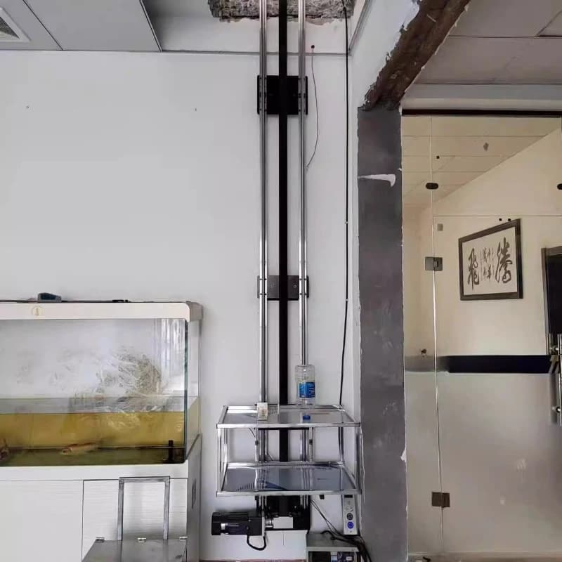 Hotel simple vegetable delivery machine lift vegetable delivery elevator single double track