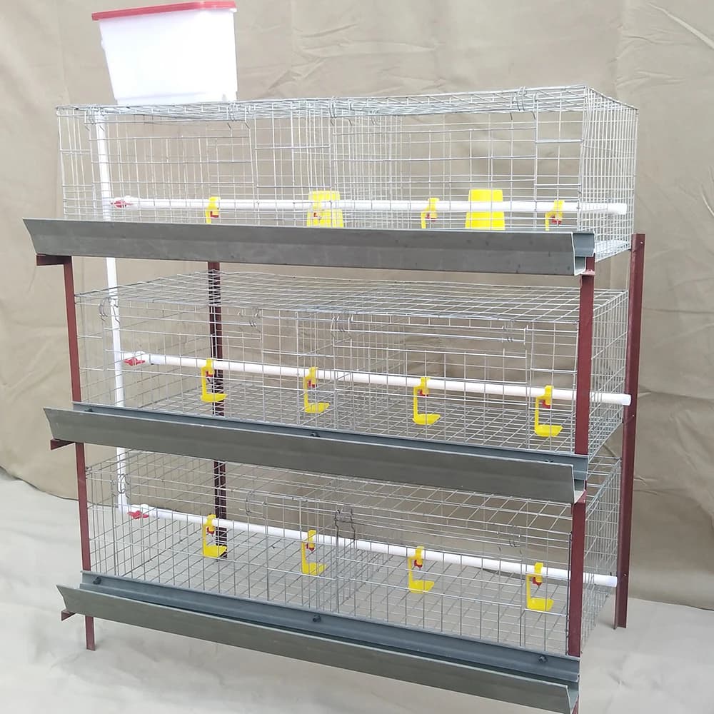 Design Commercial Broiler Chicken Cages Meat Automatic Poultry Feeding Farm Equipment H Type Broiler 4Tier 80 Birds for Sale