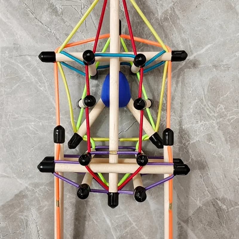 Spinal and Pelvic Tensioning Whole Model Structure Fascia Tensioning Body Teaching Tool Demonstration Dynamic Axis Anatomy Train