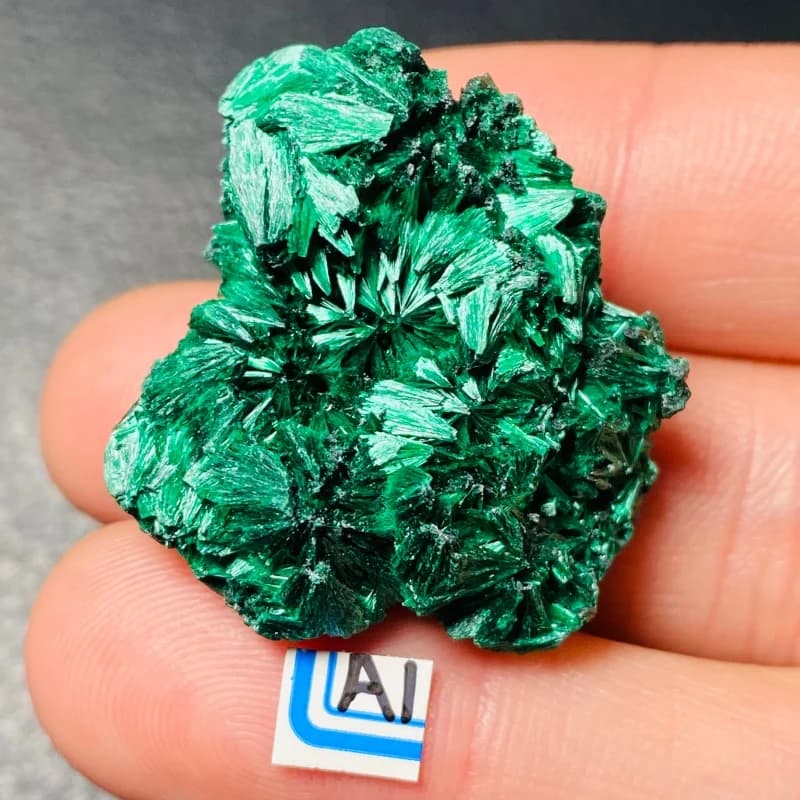 Natural Green Zambian Congo Needle-Shaped Crystal Malachite Mineral Specimen Energy Stone Healing Home Decoration