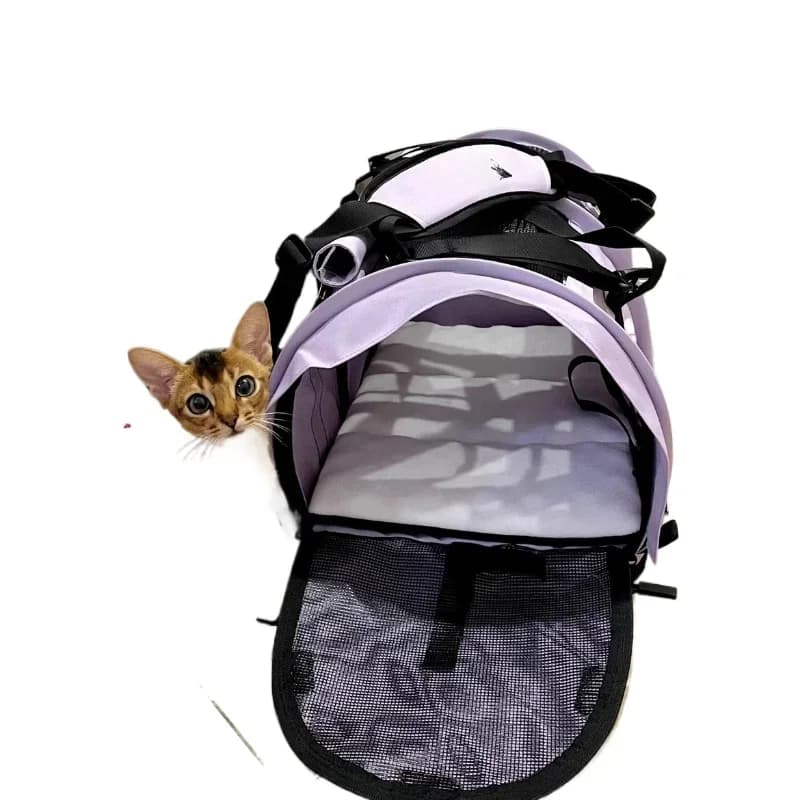 American professional pet outing bag