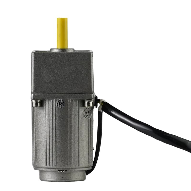 Factory Price Customized 6W Single Phase 220V High Torque AC Gear Motor with 60mm Gearbox for Food/Packaging Machinery